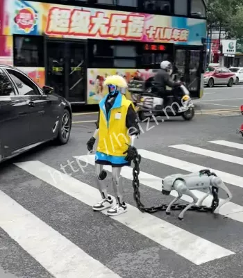 机器人牵机器狗